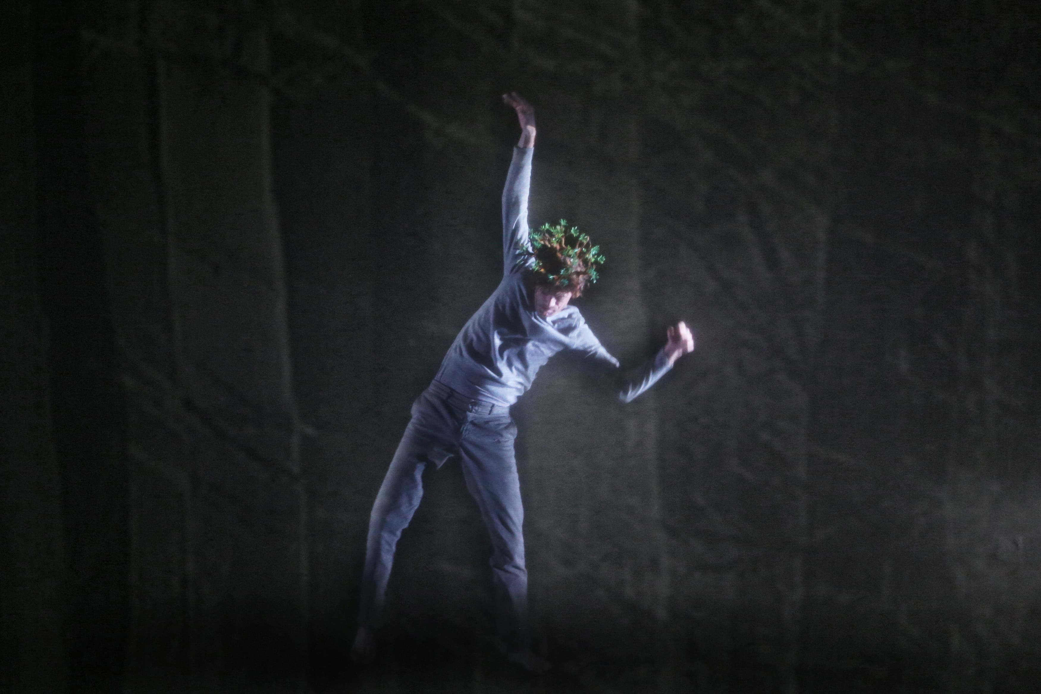 "La Forêt ébouriffée", chorégraphie et scénographie par Christian et François Ben Aïm, saison 23-24 au Théâtre de Suresnes Jean Vilar