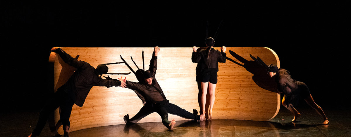 Le Carnaval des Animaux… d'Émilie Lalande, saison 23-24 au Théâtre de Suresnes Jean Vilar