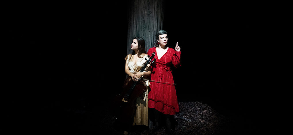Concert du duo de Birds on a Wire composé de Dom La Nena & Rosemary Standley présenté au Théâtre de Suresnes pour la saison 25-26.
