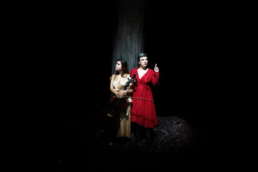Concert du duo de Birds on a Wire composé de Dom La Nena & Rosemary Standley présenté au Théâtre de Suresnes pour la saison 25-26.