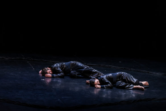 Spectacle "Viscum" de Noé Chapsal - compagnie des Corps Jetés, présenté au Théâtre de Suresnes dans le cadre du festival Suresnes Cités Danse 2026.